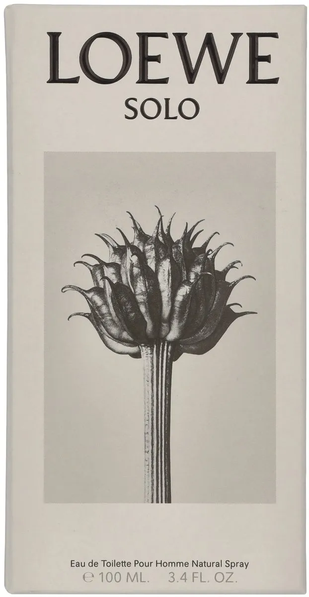 Loewe Solo Eau de Toilette - 100ml