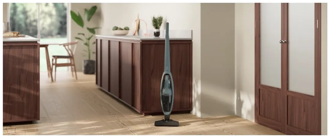 Electrolux ES52CB18OG 2-in-1 Steelstofzuiger