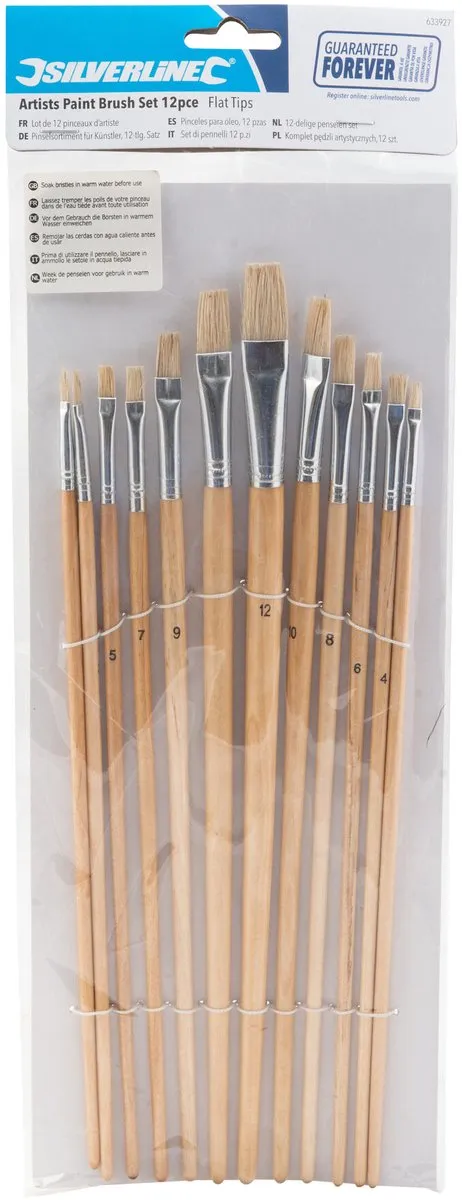 Silverline Penselen Platte Punten