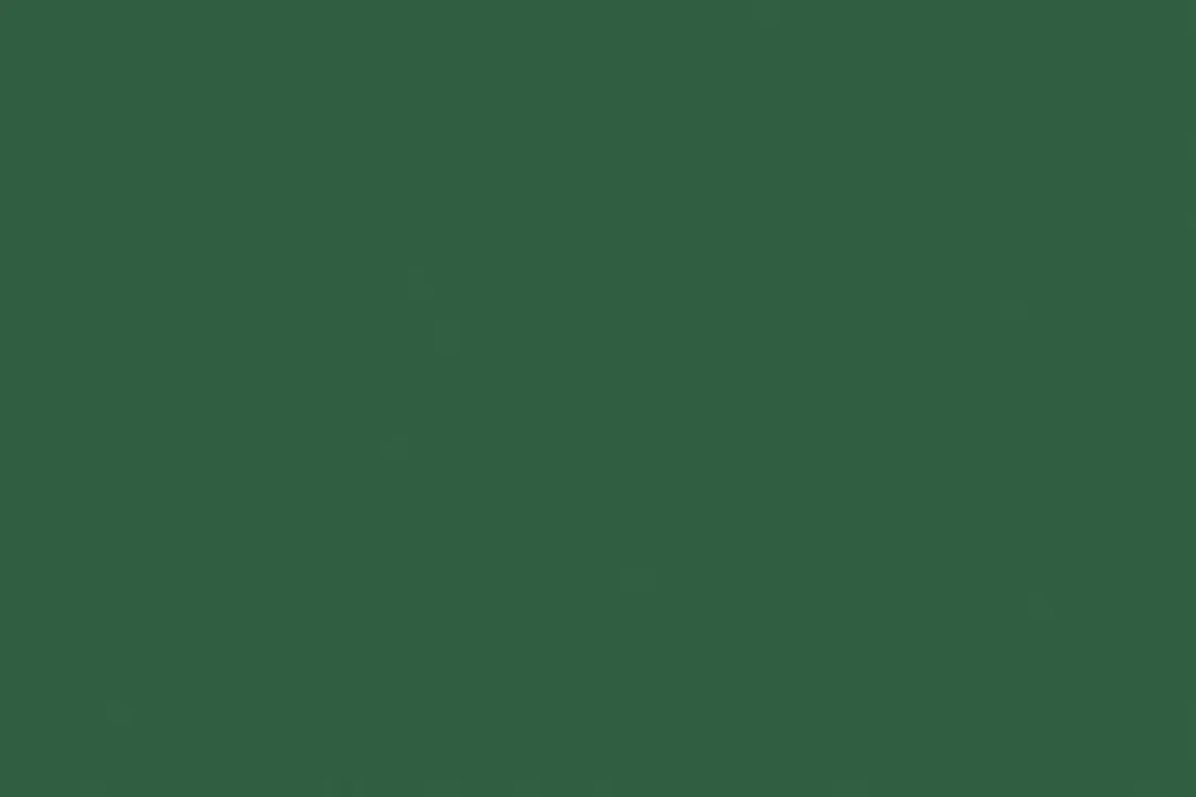 Folia Tekenpapier Donkergroen 50x70cm 130gr - 25 Vel