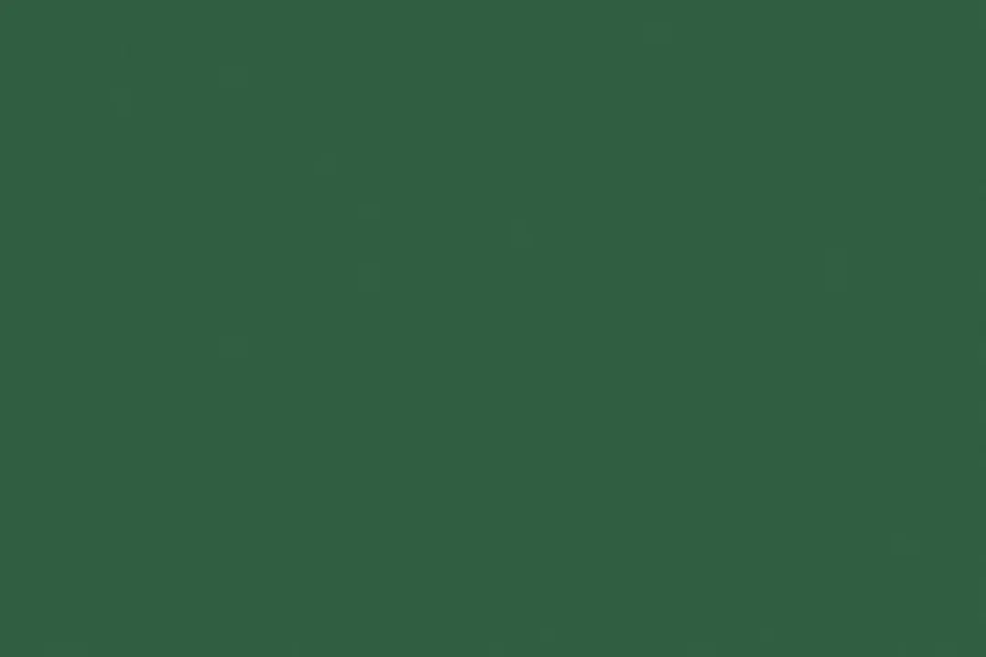 Folia Tekenpapier Donkergroen 50x70cm 130gr - 25 Vel