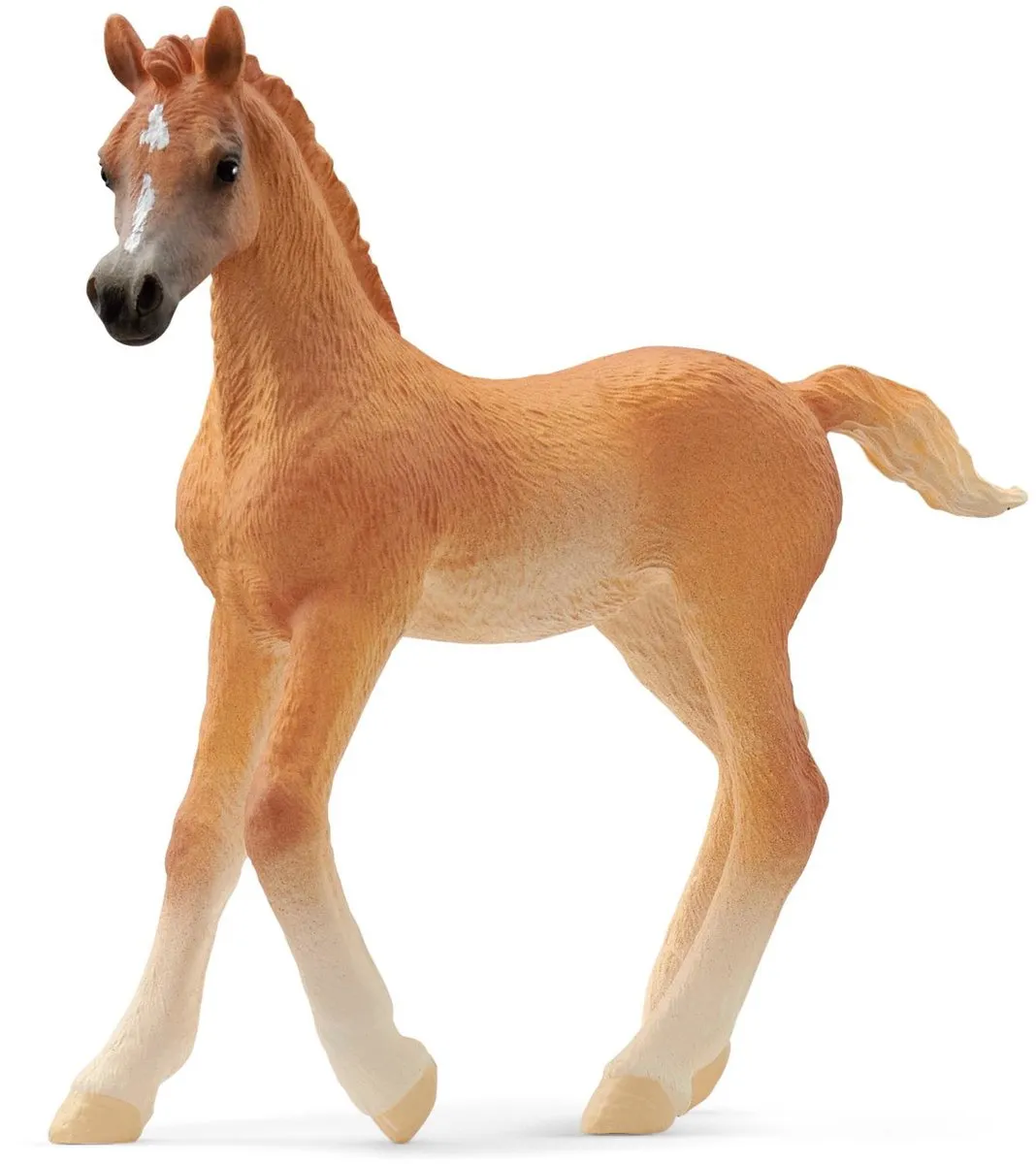 Schleich Arabisch Veulen 13984
