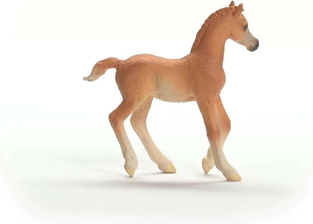 Schleich Arabisch Veulen 13984