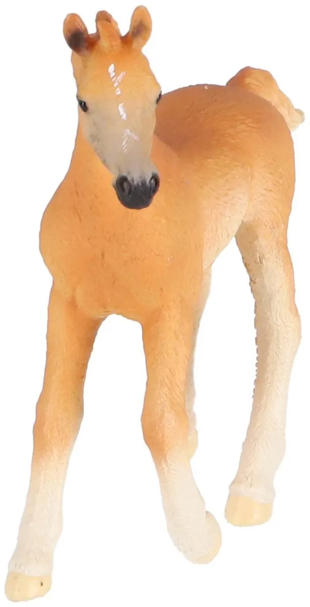 Schleich Arabisch Veulen 13984
