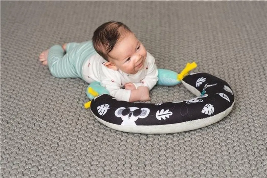 Taftoys 2-in-1 Buiktijd Kussen - voor baby's 0-6 maanden - Motorische ontwikkeling