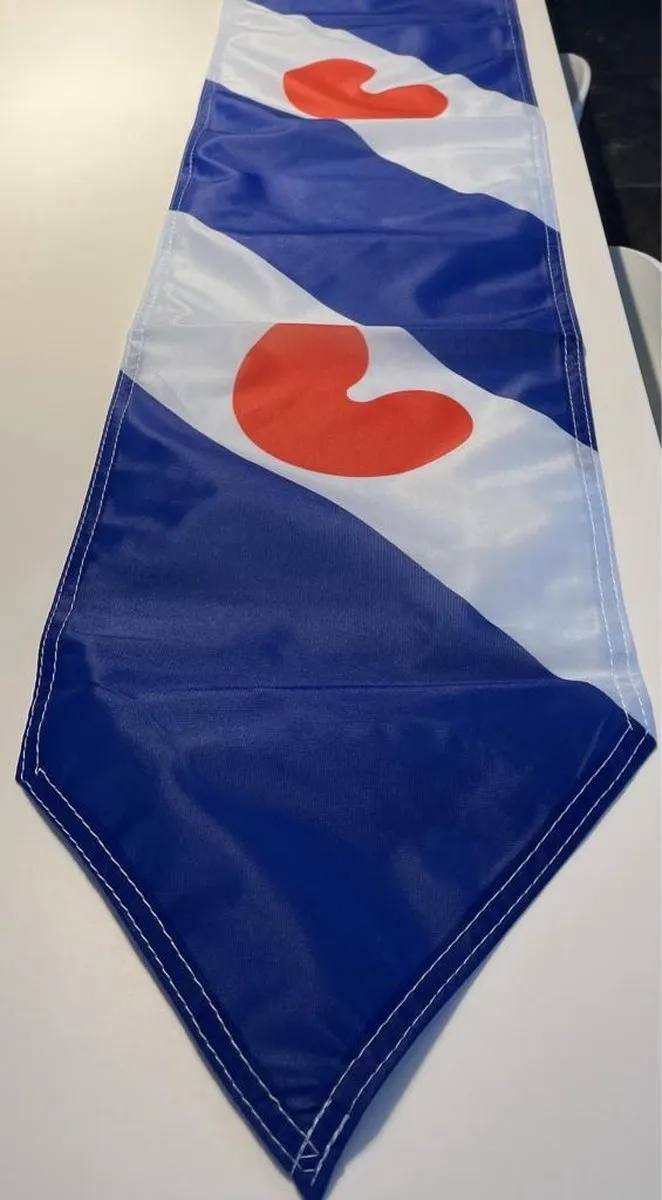 Friese Wimpel Friesland 25x300cm