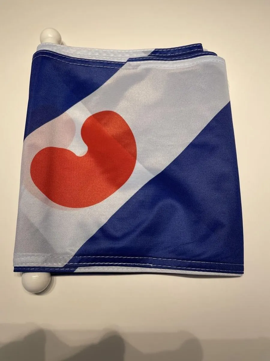 Friese Wimpel Friesland 25x300cm