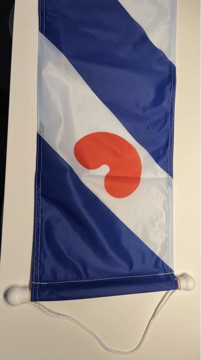 Friese Wimpel Friesland 25x300cm