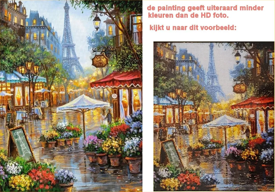 VDTOYS DIAMOND PAINTING R062 Tijgers - 45x35cm