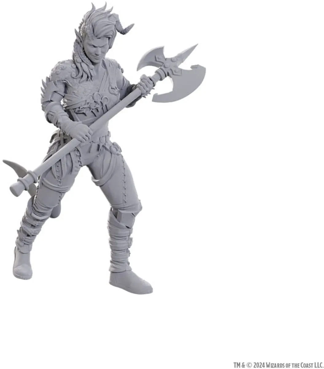 Wizkids D&D Nolzur's Baldur's Gate Wyll & Karlach Figuren - Grijs