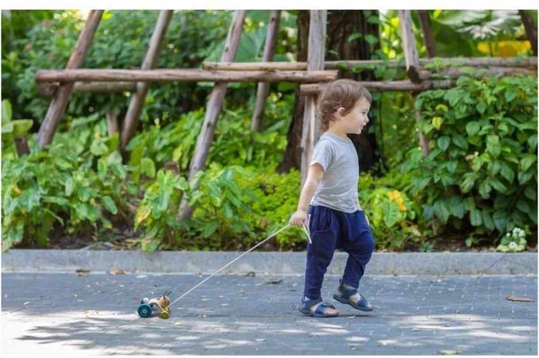 Plan Toys houten trekfiguur huppelend konijn