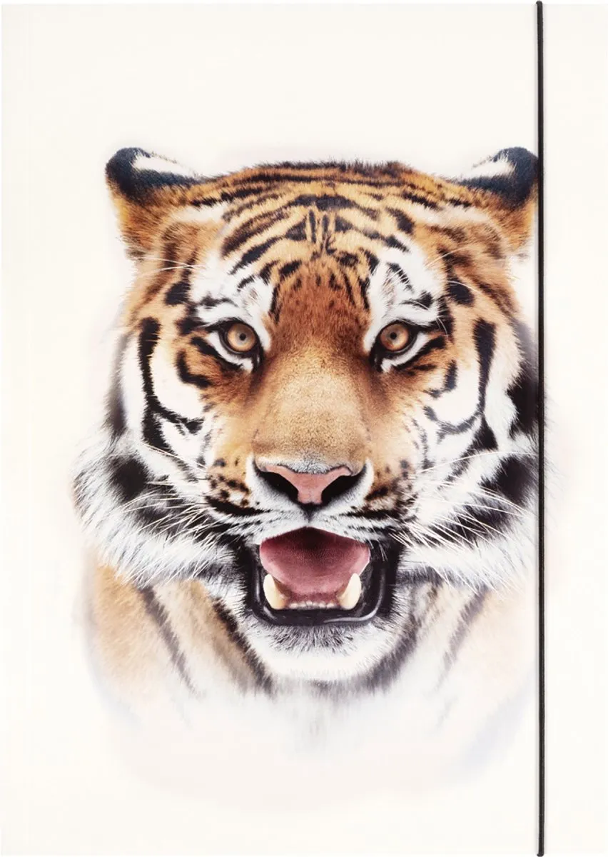 Folia Tekeningenmap BASIC Roaring Tiger - Karton DIN A3