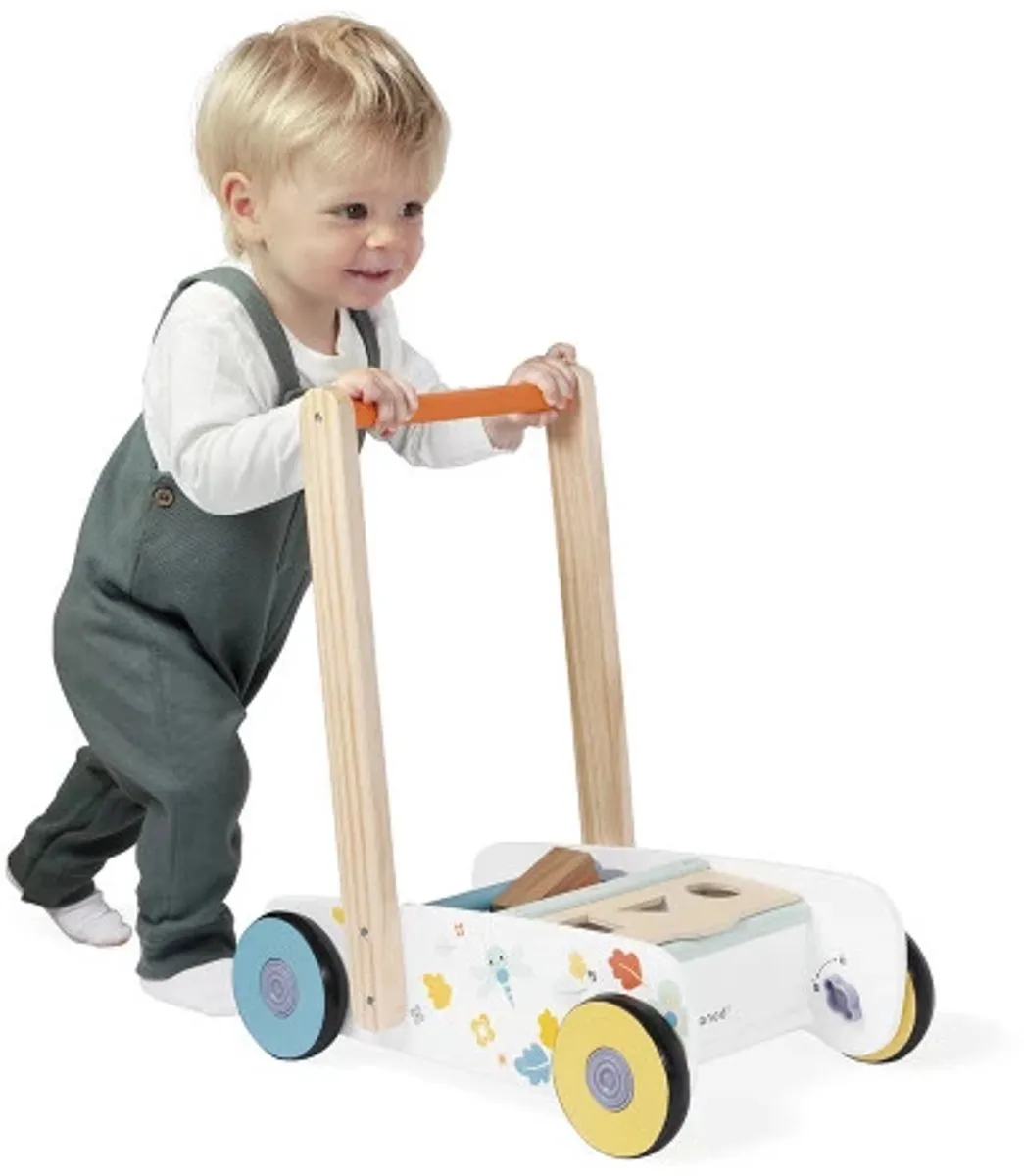 Janod Pure Loopwagen - Multicolor