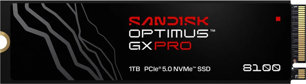SanDisk Optimus GX PRO SDSP82100TAN-000E0 SSD