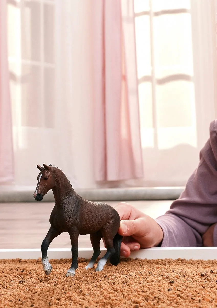 Schleich Horse Club Mustang Hengst 14921 - Meerkleurig