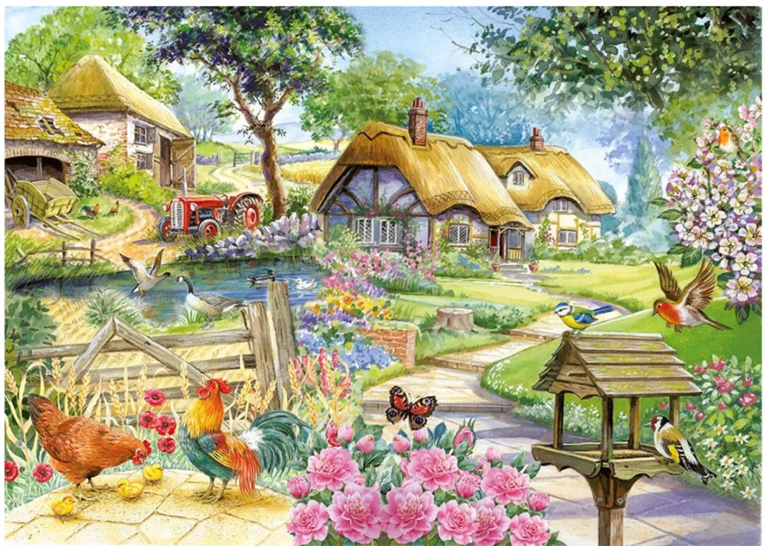House Of Puzzles Country Living Puzzel 500 XL