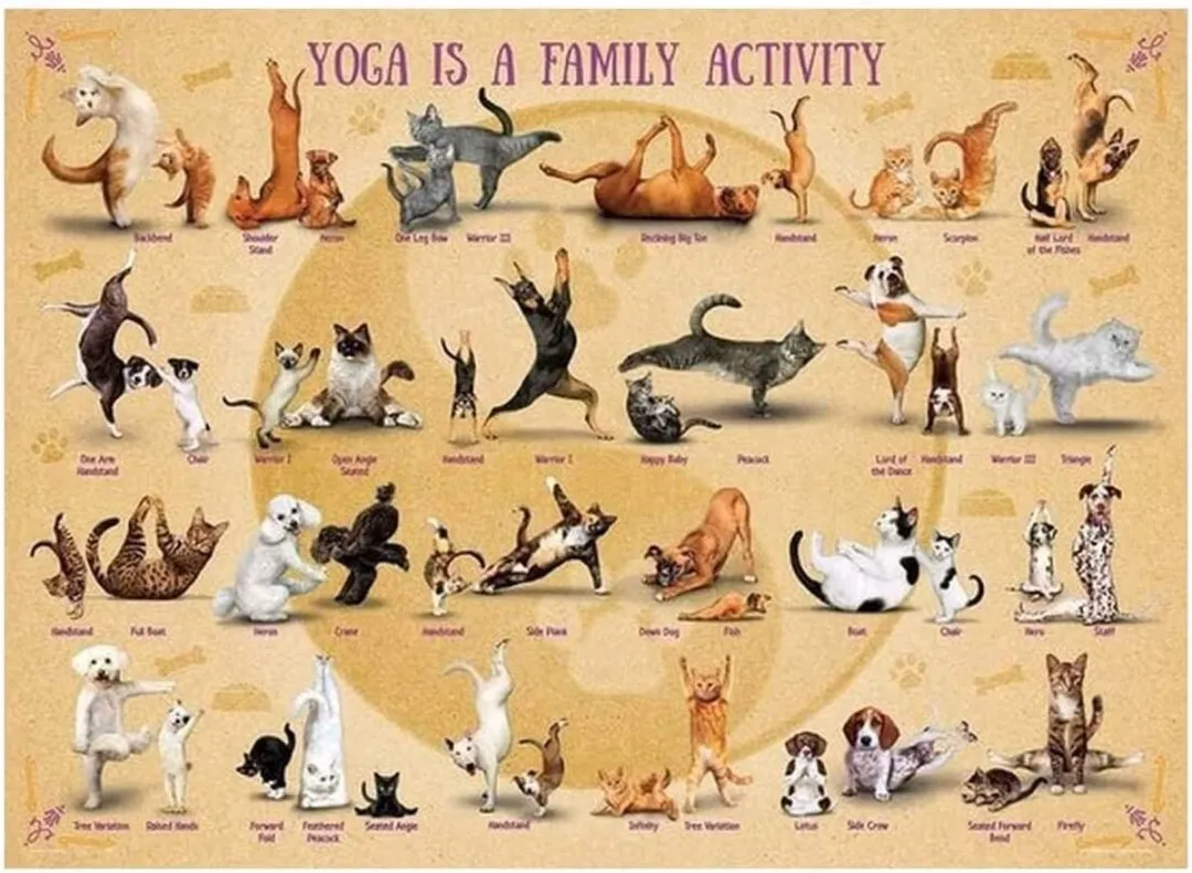 Eurographics Yoga is a Family Activity Puzzel 500 Stuks