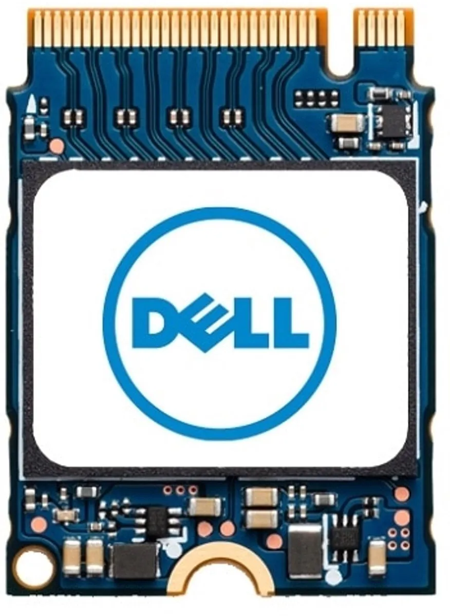 Dell M.2 256GB PCI Express SNP112233P/256G
