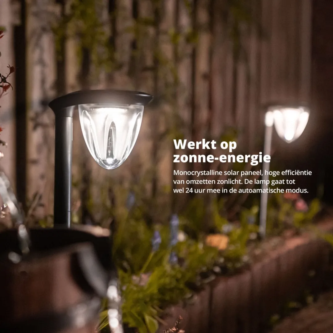 FlinQ Juno Zonne Tuinverlichting - 2 Stuks - 6000K - afbeelding 6 van 6