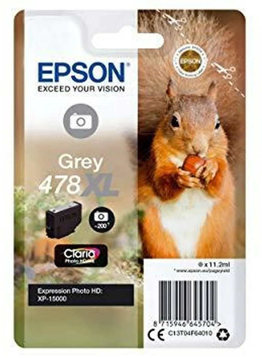 Epson C13T04F64010 Grijs Inktcartridge - 200 Pagina's