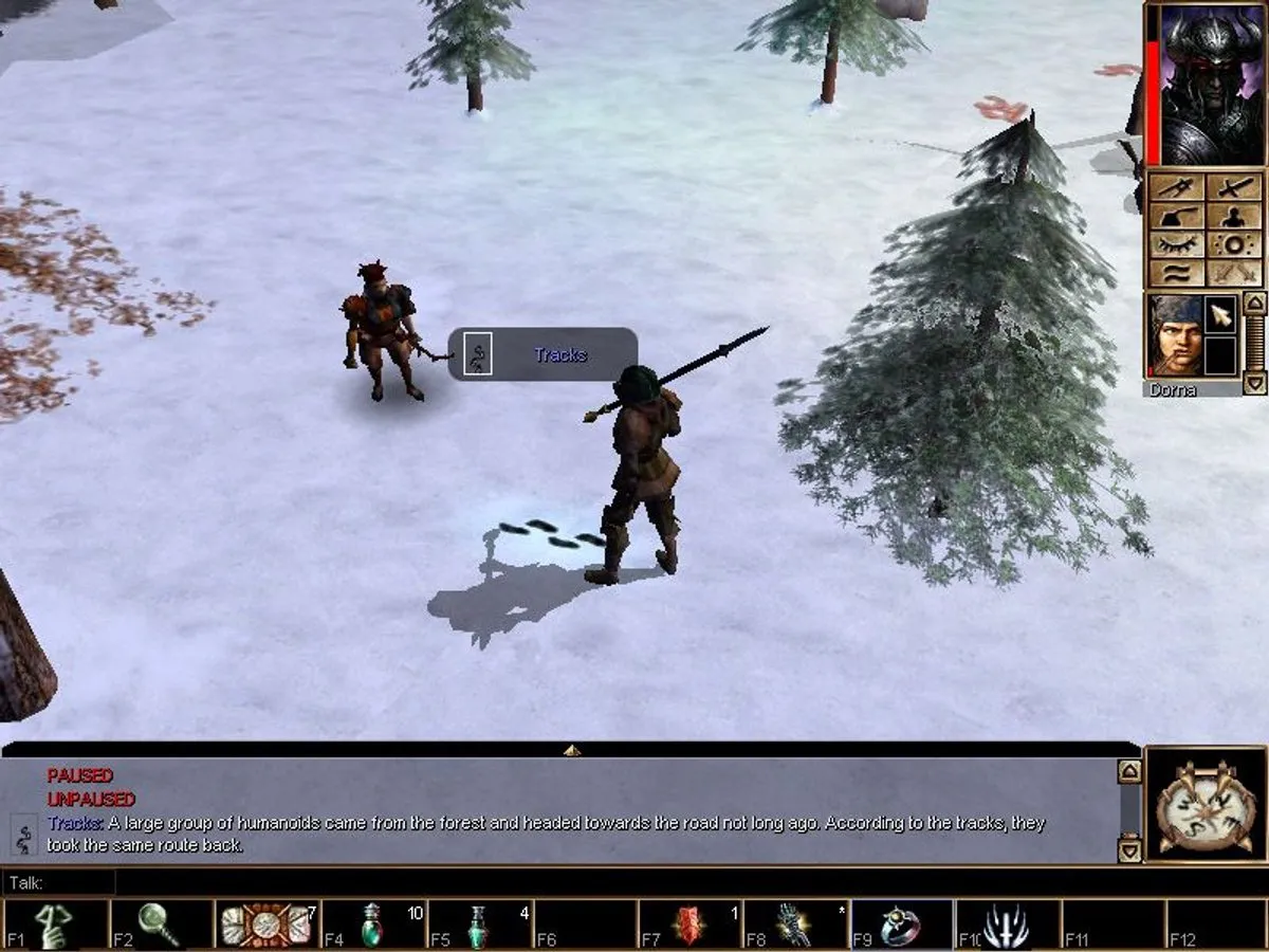Bandai Namco Neverwinter Nights Shadows of Undrentide