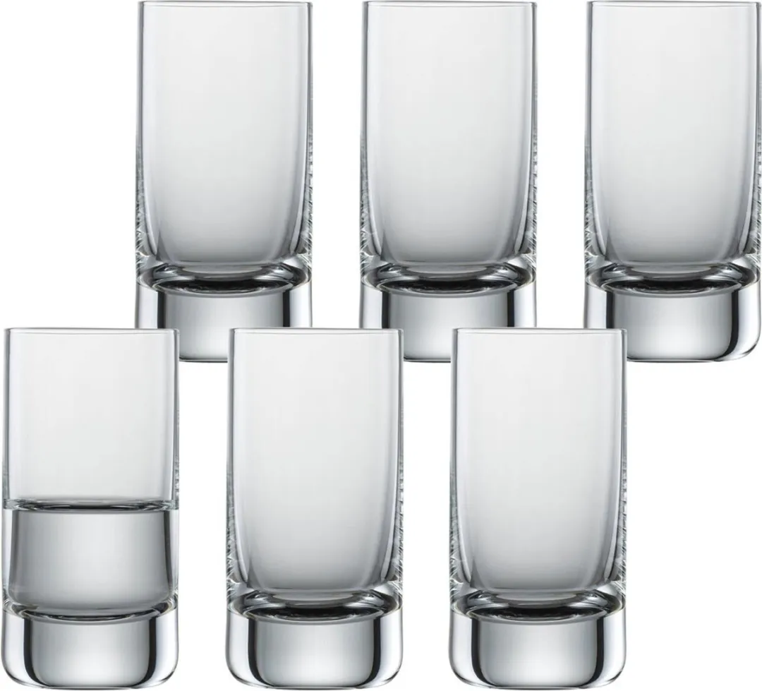 Schott Zwiesel Convention Borrelbekers 6 Stuks