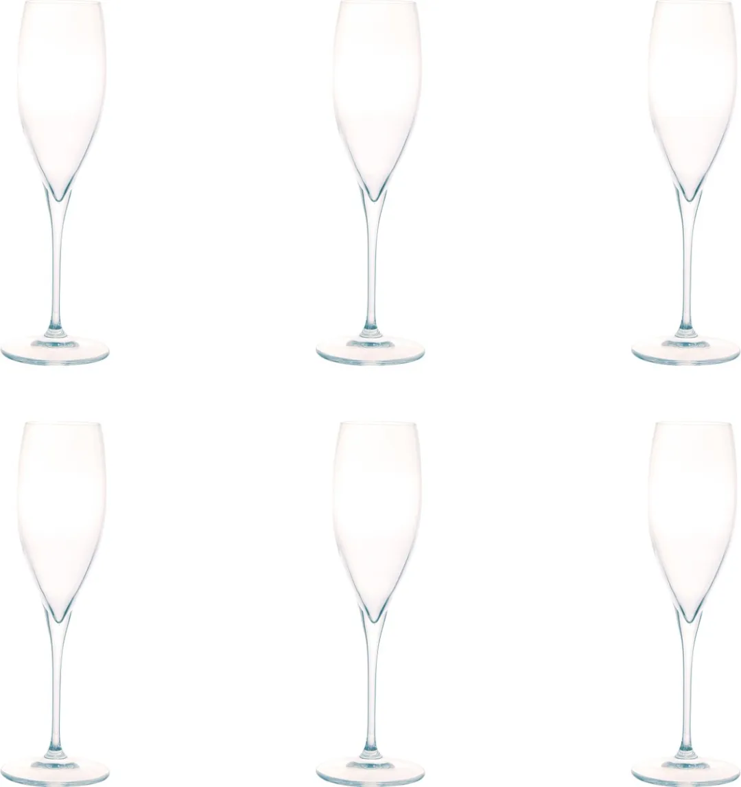 Bormioli Rocco Galileo Champagneglas 26cl - Set van 2