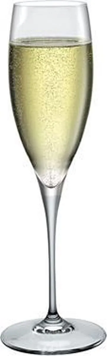 Bormioli Rocco Galileo Champagneglas 26cl - Set van 2