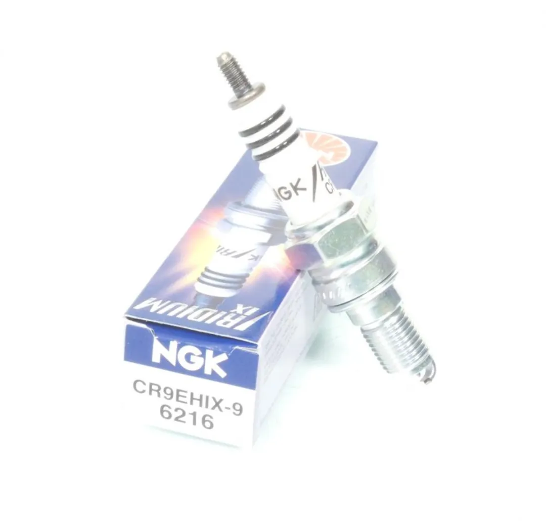 NGK Bougie 600 CBF Hornet PC34/PC36