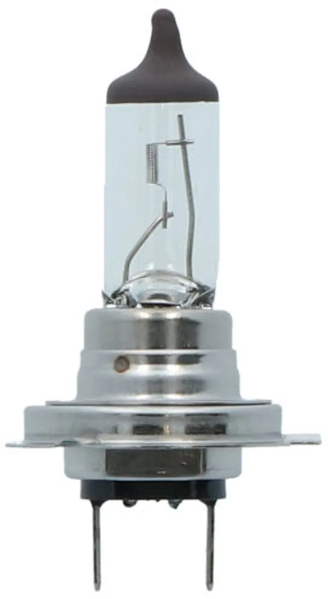 Carpoint Premium Autolamp H7 55W