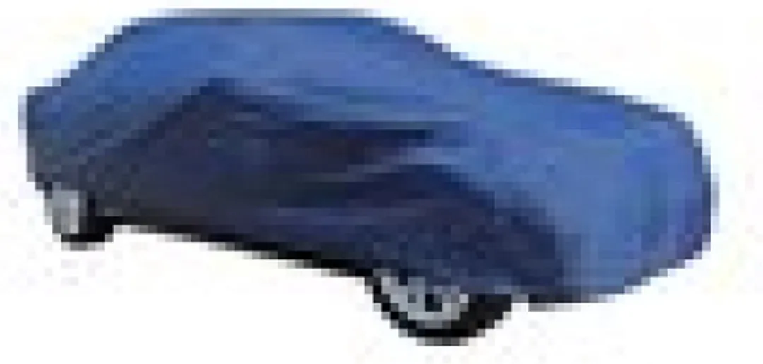Carpoint Autohoes Polyester Large