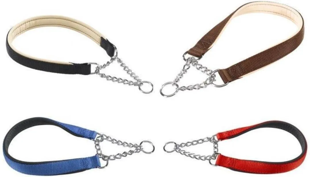 Ferplast Daytona CSS25/60 Hondenhalsband - Rood