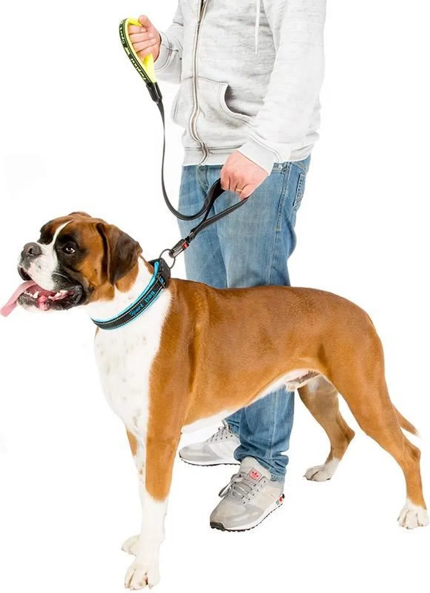 Ferplast Sport Dog Matic Hondenlijn 20mm x 120cm - Lila-Zwart - afbeelding 2 van 6