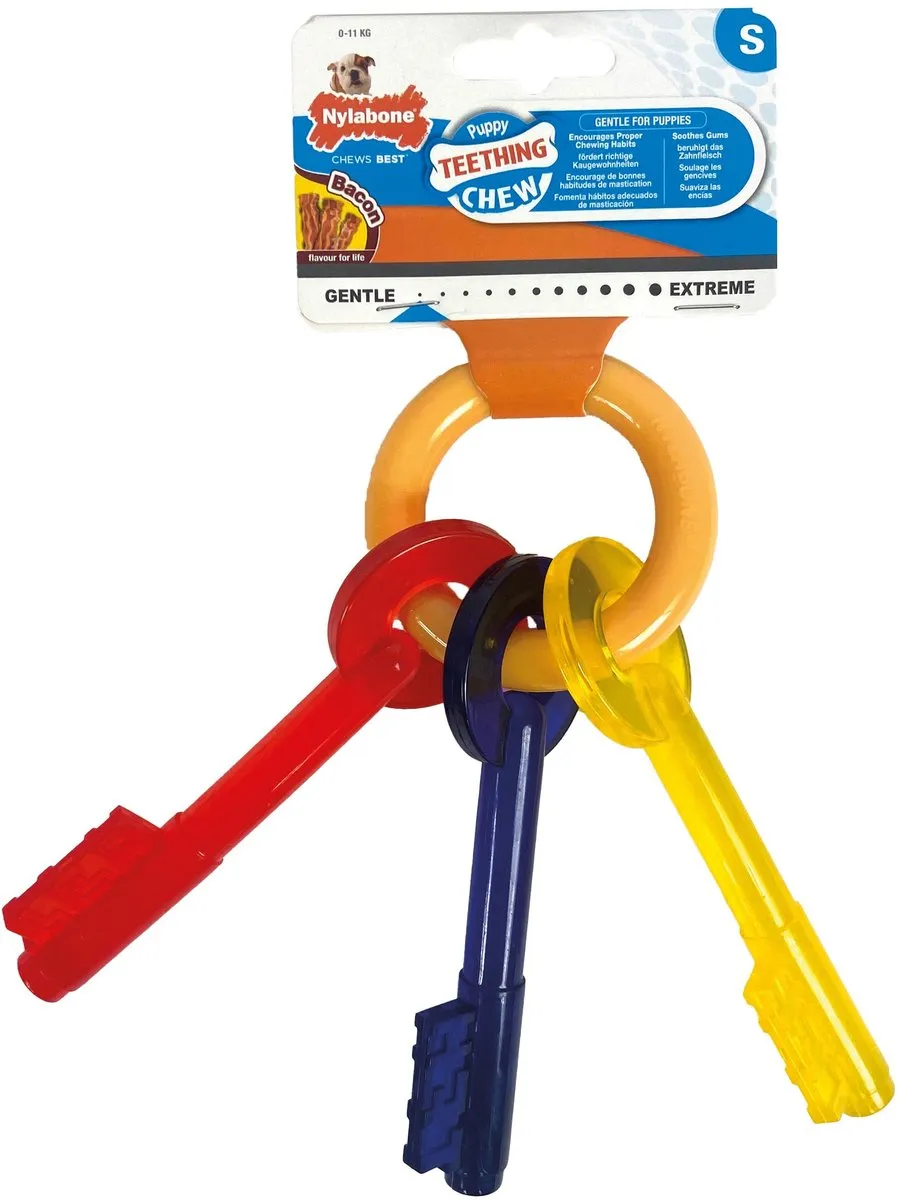 Flexi Nylabone Puppy Teething Key