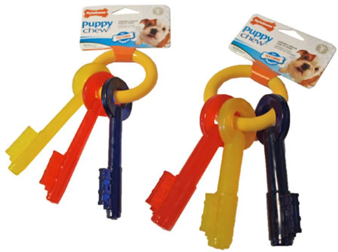 Flexi Nylabone Puppy Teething Key - Geel/Blauw/Rood