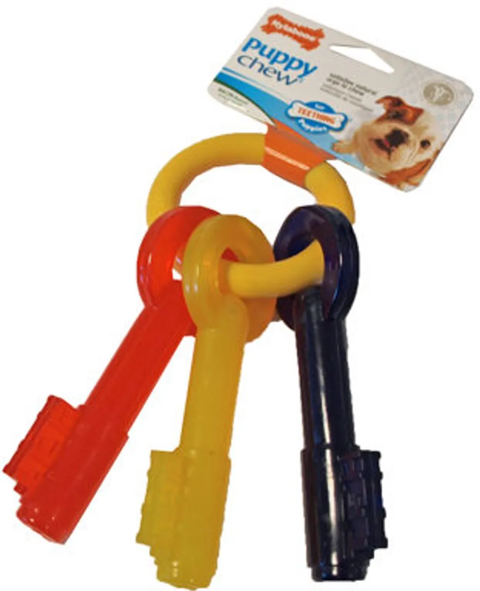 Flexi Nylabone Puppy Teething Key - Geel/Blauw/Rood
