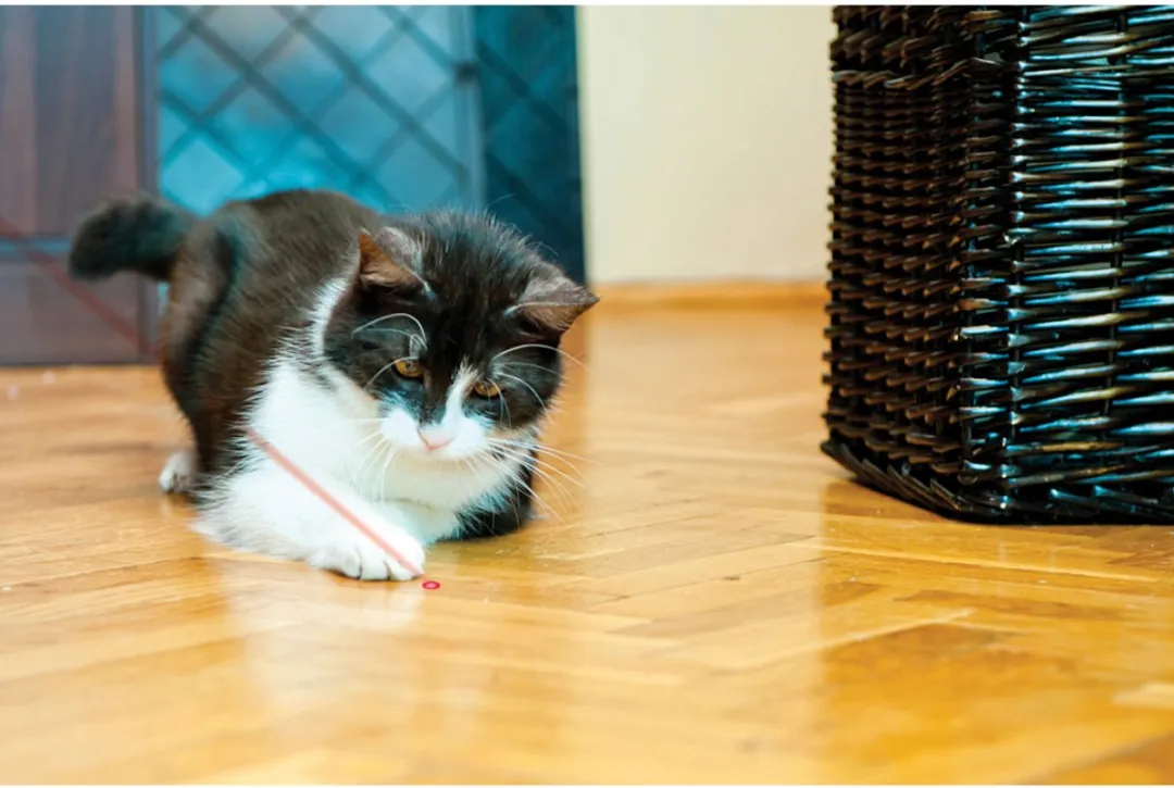 KONG Laser Pointer voor Katten - Zilver