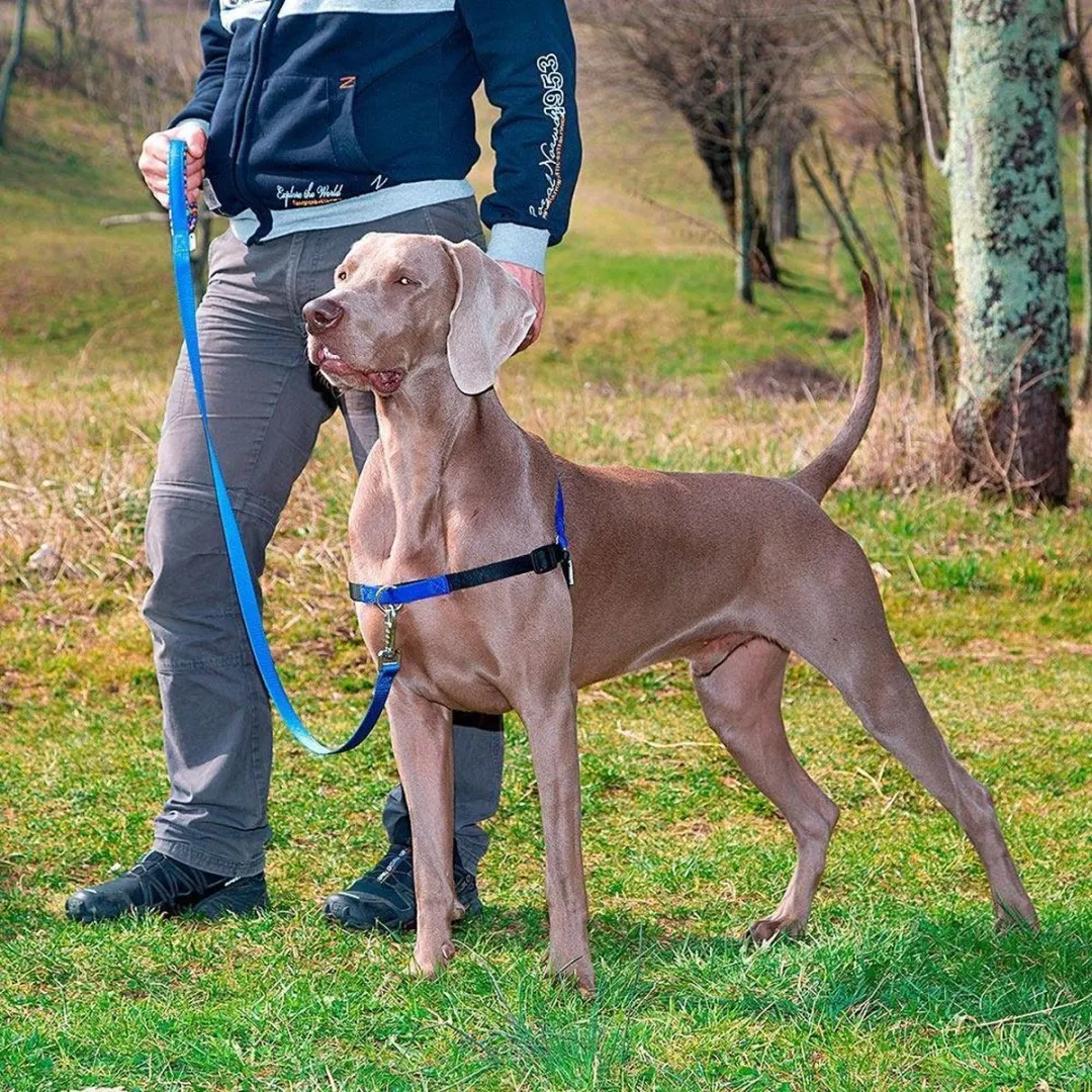 Ferplast Coach Hondentuigje 64-91cm Blauw