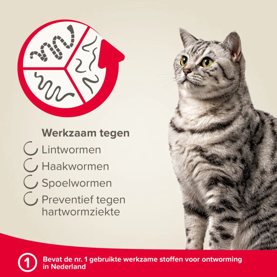 Beaphar Milquestra Kat Ontwormtabletten 2x2 - 4g