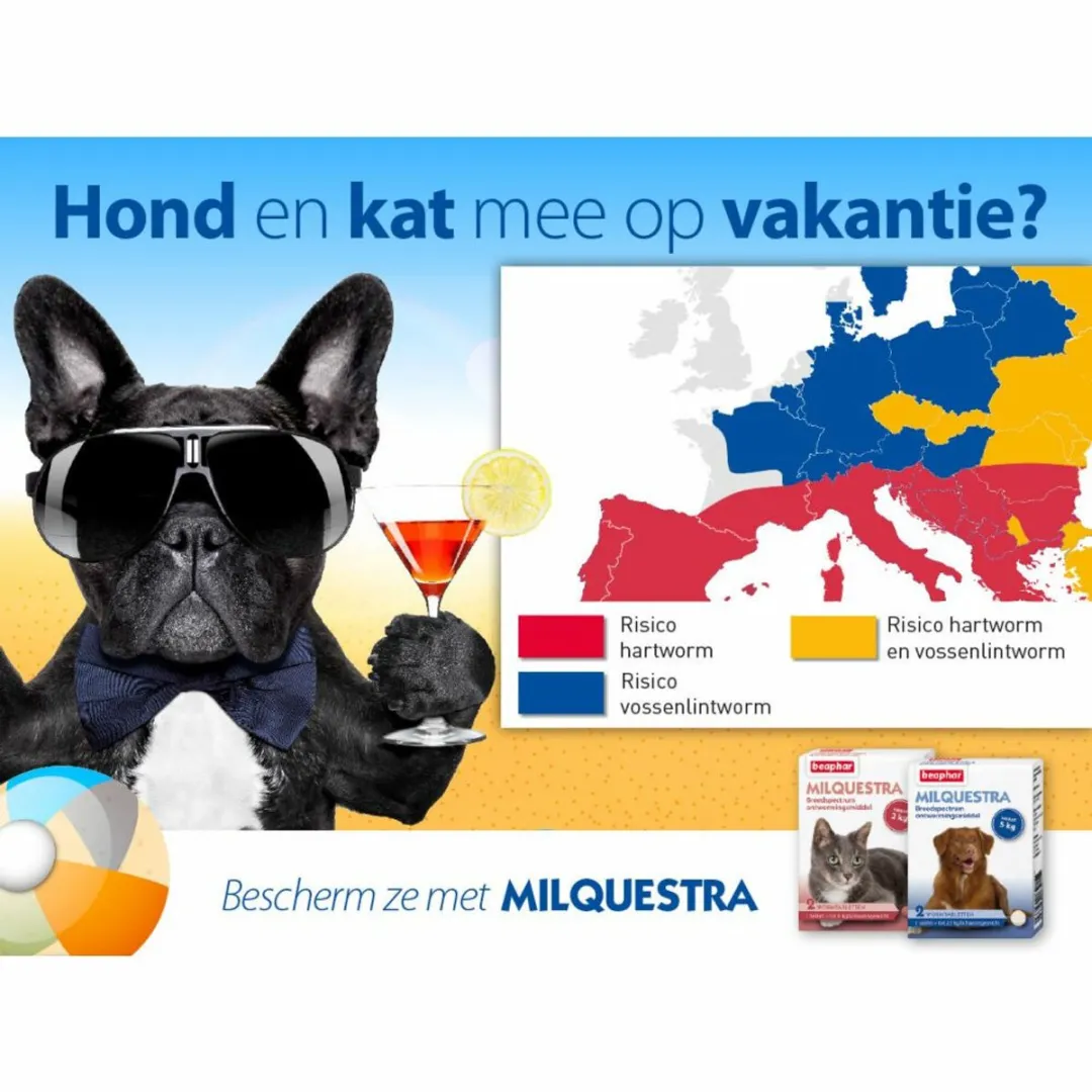 Beaphar Milquestra Kat Ontwormtabletten 2x2 - 4g