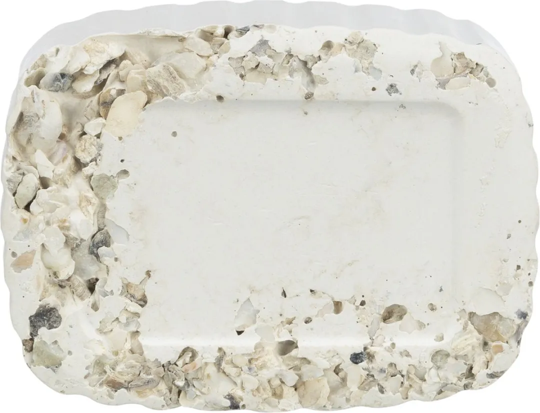 Trixie Piksteen met Schelpen Mineralen