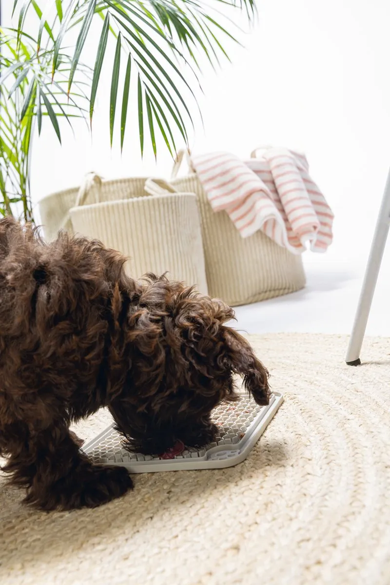 Beeztees Puppy Siliconen Likmat Diza - 20x20cm Grijs
