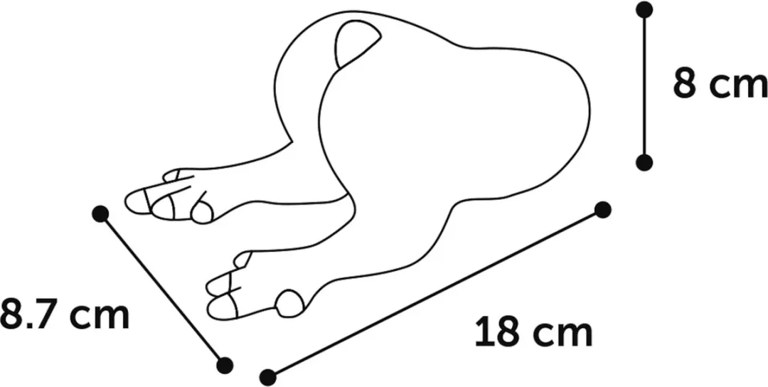 Flamingo Regis Hs Latex Kip Speelgoed Honden - 131310 - 1 Stuk - afbeelding 4 van 5
