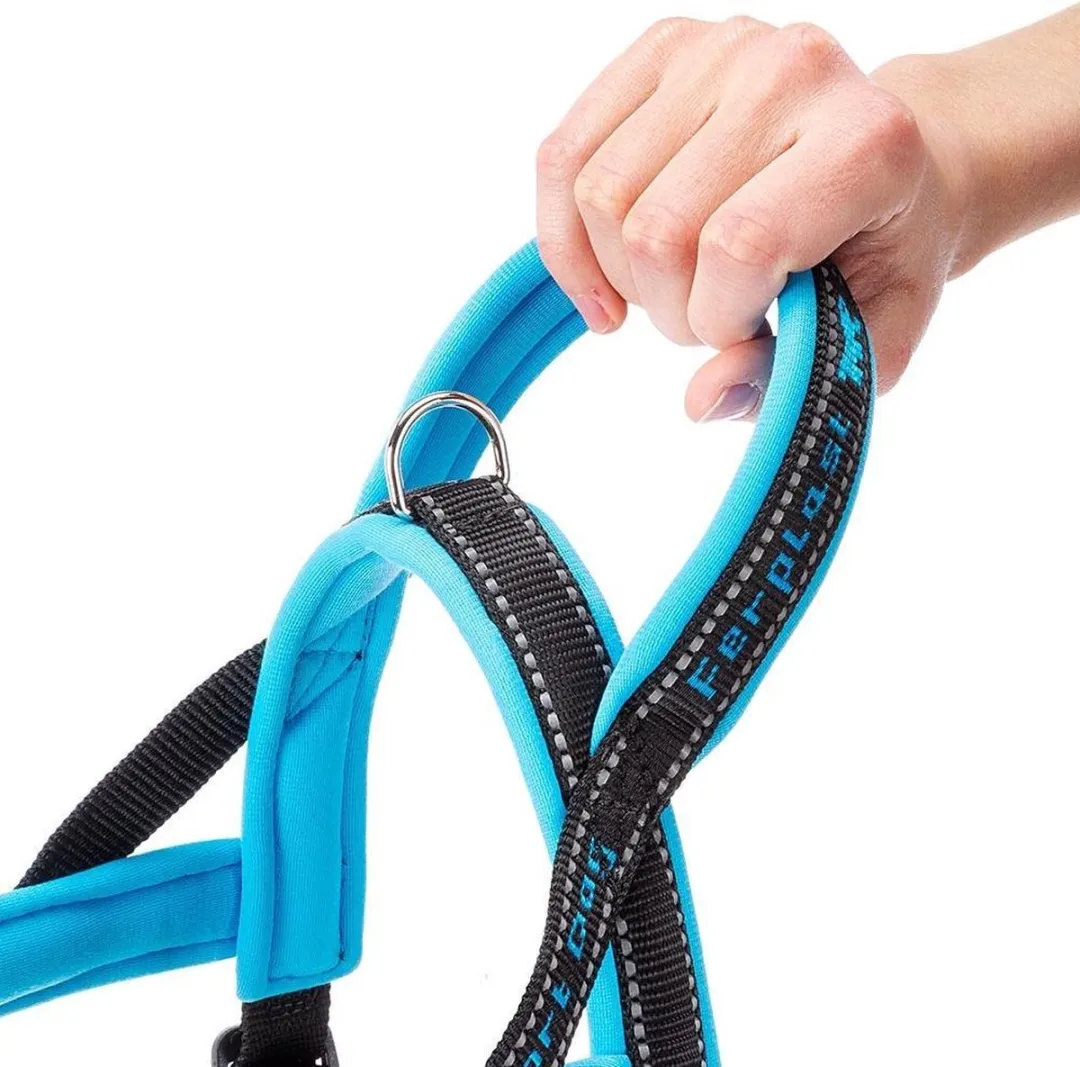 Ferplast Sport Hondentuig XS - 39x58cm Blauw/Zwart