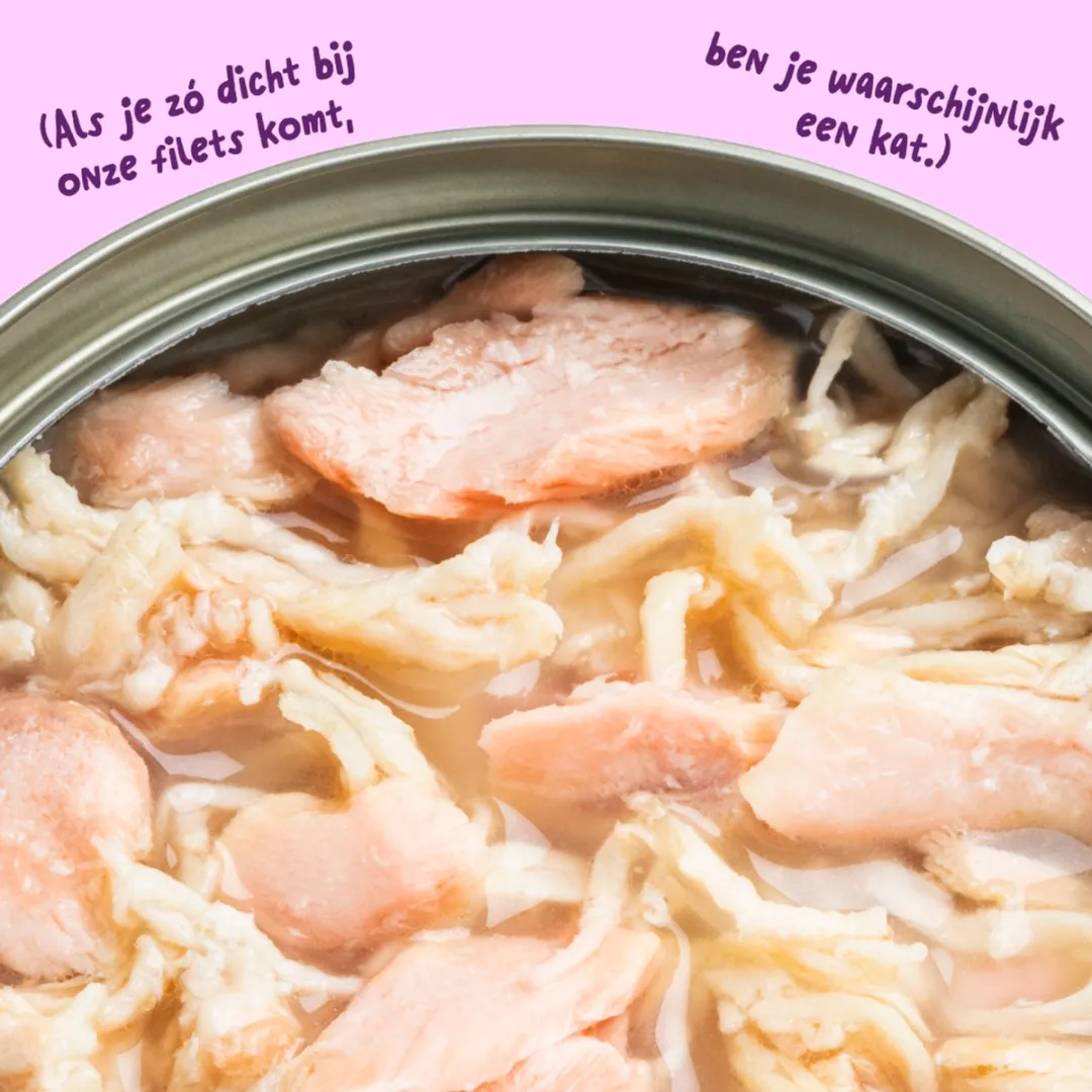 Beeztees Edgard & Cooper Kat Natvoeding - 70g - Zalm/Kip