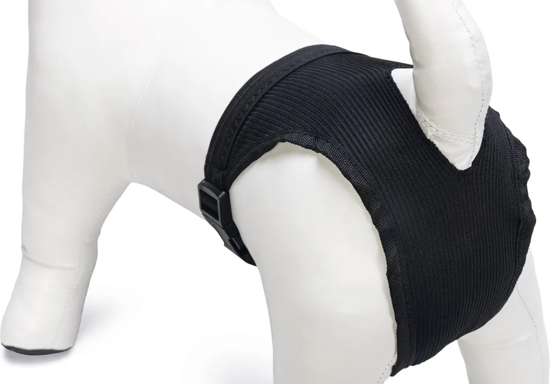 Beeztees Loopsheidbroekje L - Nylon - Zwart