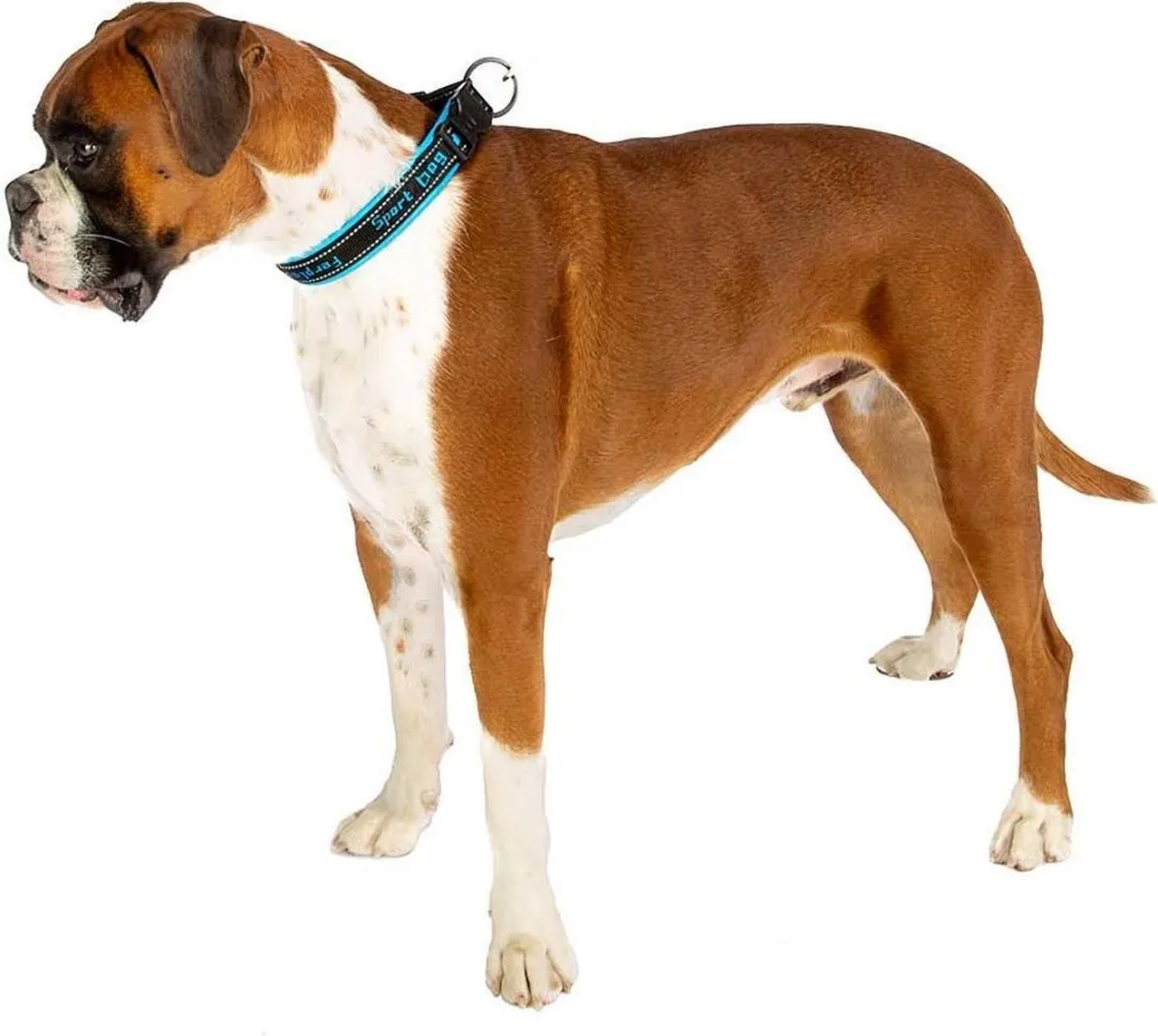 Ferplast Sport Dog Halsband - 55 cm - Blauw/Zwart