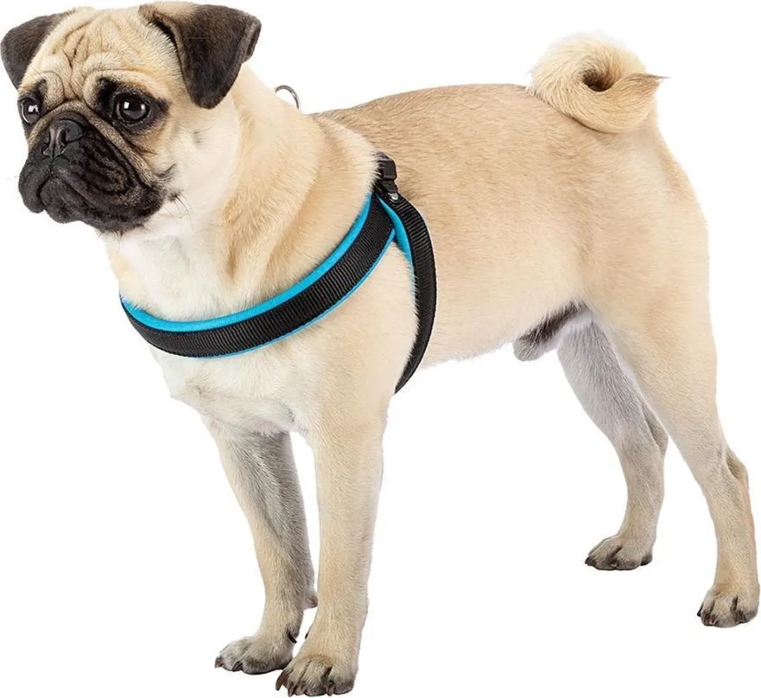 Ferplast Agila Nylon Hondentuigje - XL 50-58cm - Zwart/Blauw