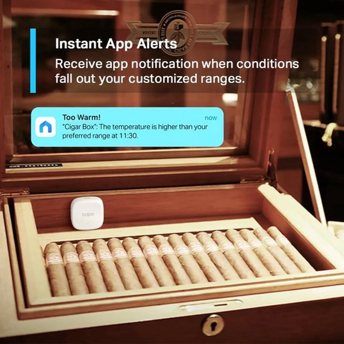 Tapo T310 Smart temperatuur- en vochtigheidssensor