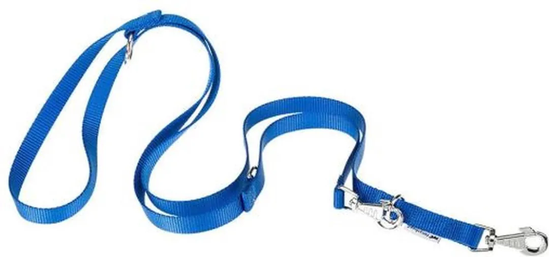 Ferplast Club GA Hondenlijn - Blauw - 25mm